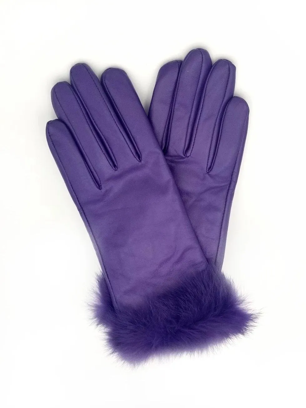 Albee Ladies Leather Fur Trimmed Gloves