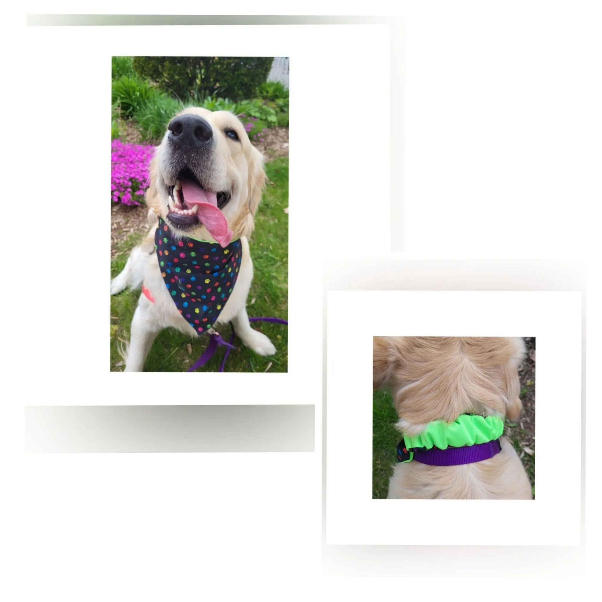 Dog Bandana  Scrunchie - Paw Prints