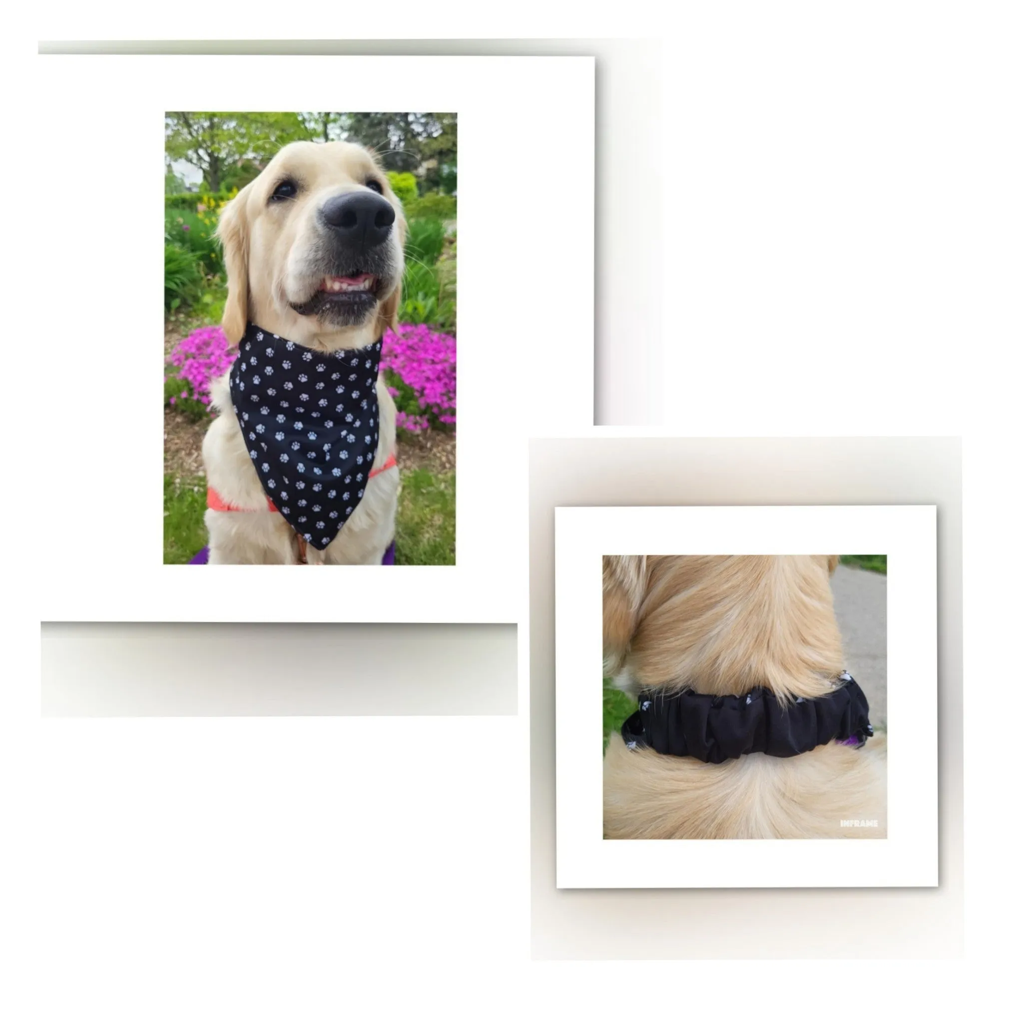 Dog Bandana  Scrunchie - Paw Prints