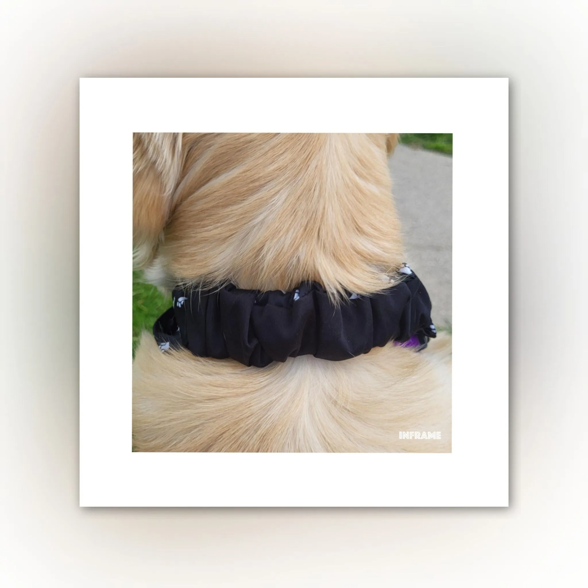 Dog Bandana  Scrunchie - Paw Prints