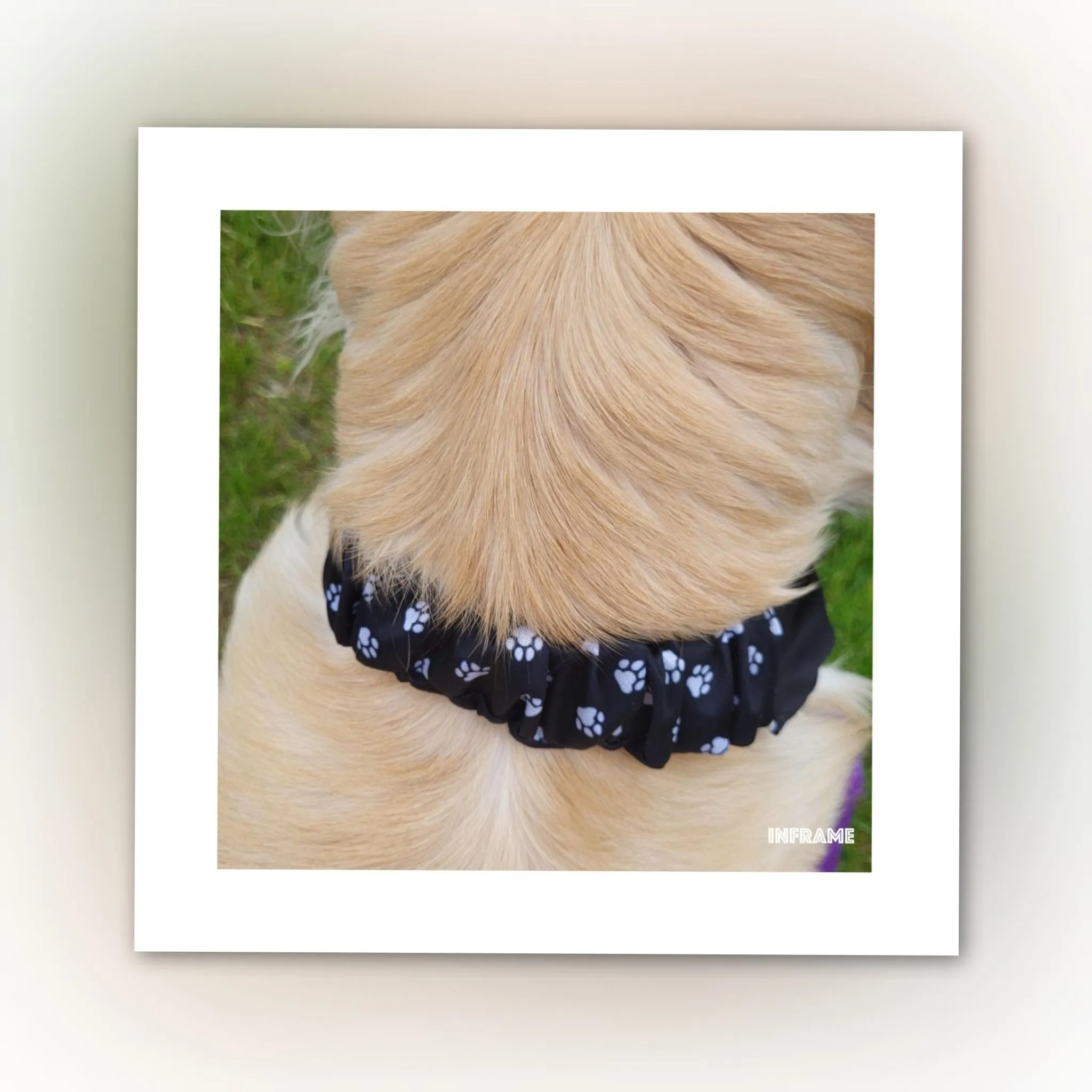 Dog Bandana  Scrunchie - Paw Prints